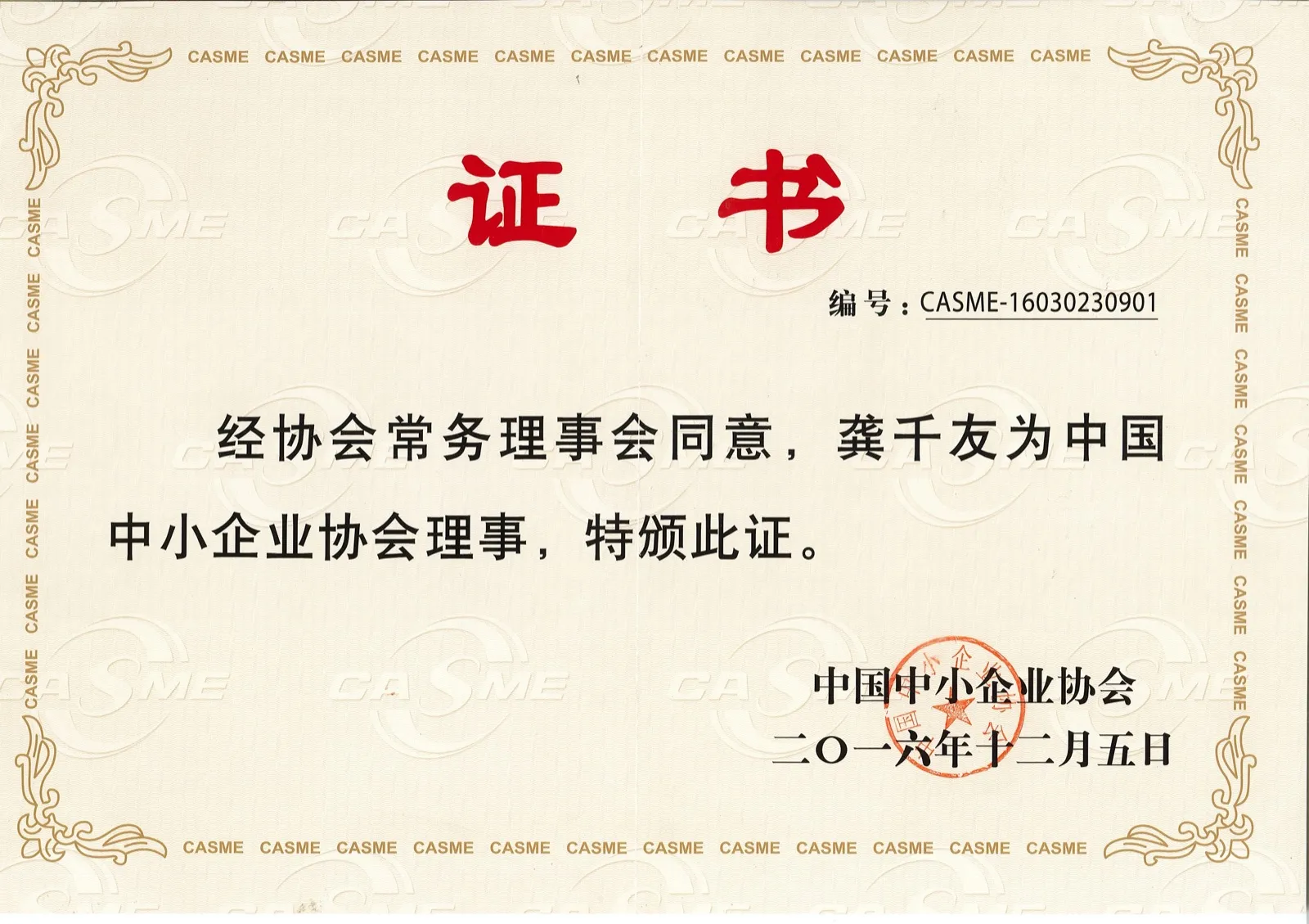 中国中小企业协会 理事