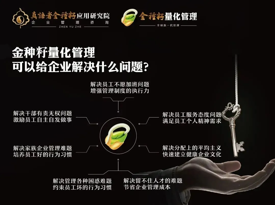 金种籽课程帮助解决的问题